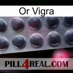 Gold Vigra 30